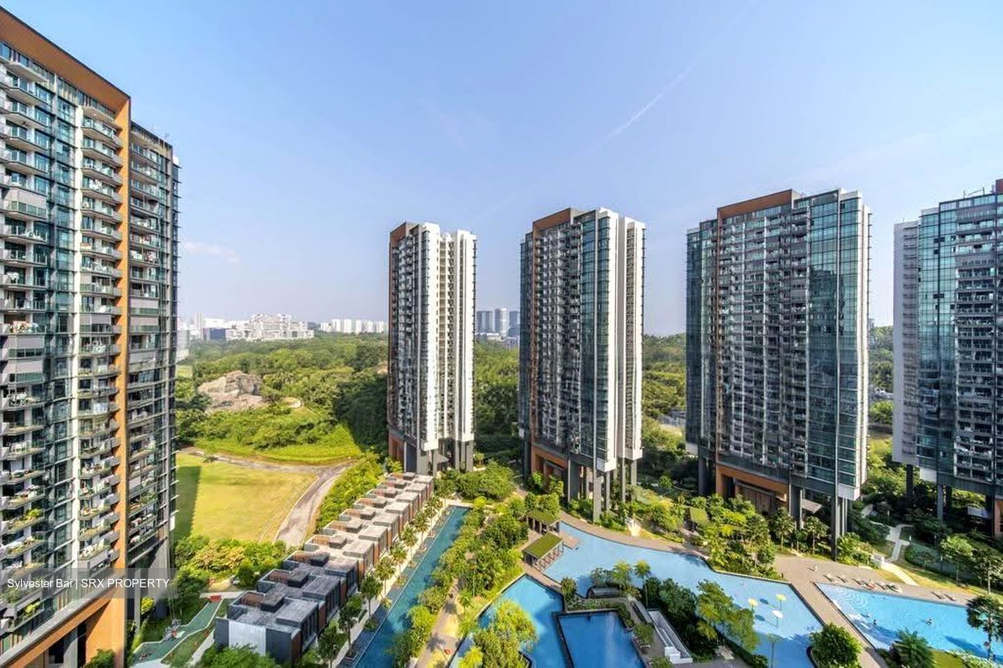 Normanton Park (D5), Apartment #609610141
